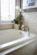 Bath tub